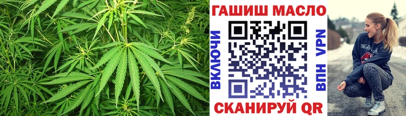 MEGA онион  Краснознаменск  Дистиллят ТГК THC oil  как найти закладки 
